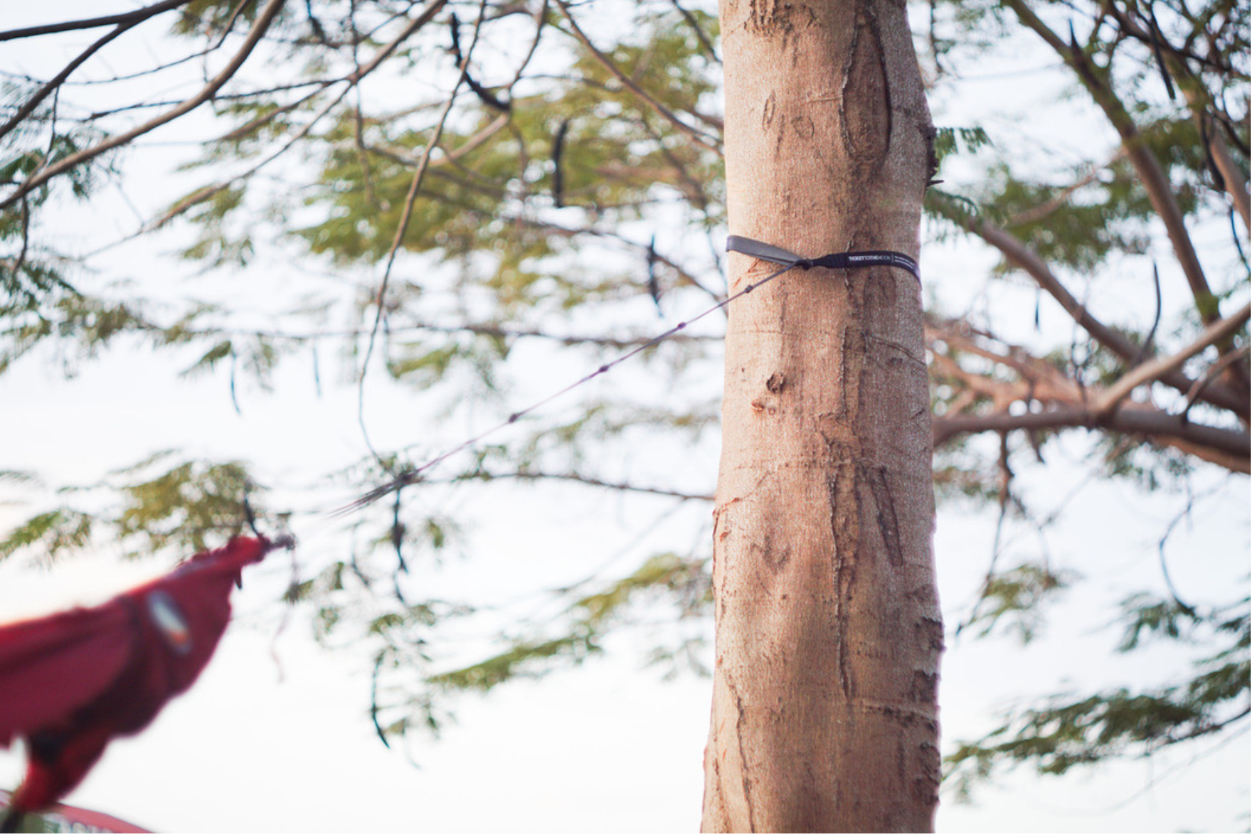 LIGHTEST STRAPS - Ultraleichte Hängematten-Aufhängung