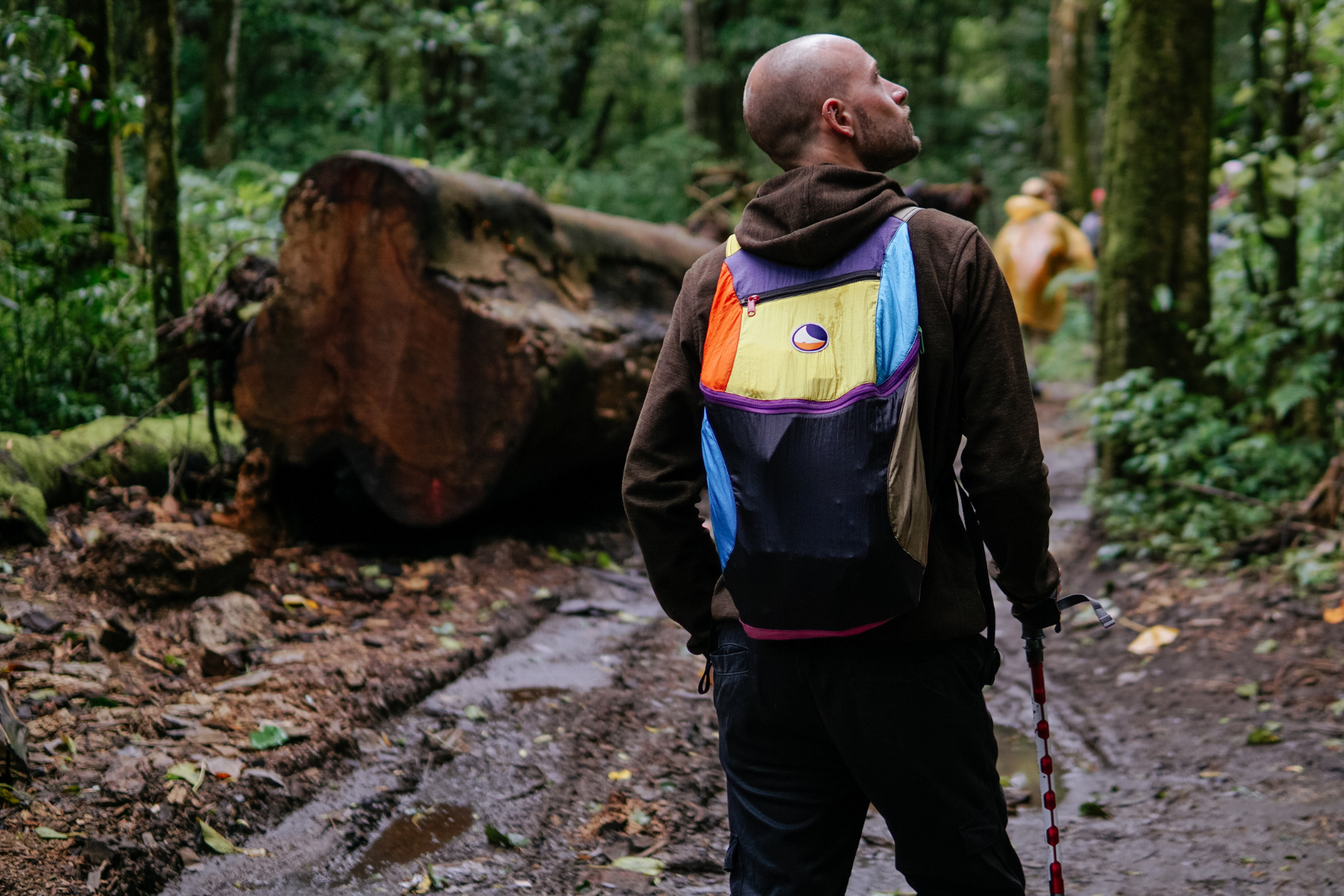 BACKPACK PLUS 25 L - Allsidig og bærekraftig ryggsekk for hverdagsbruk og reiser