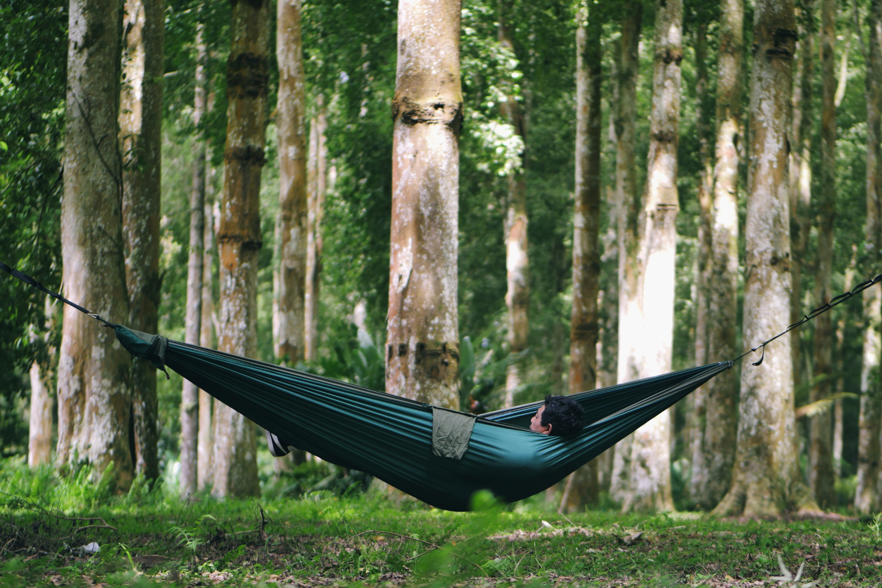 TRAVEL HAMMOCK Original - Leichte Hängematte für Abenteuer & Reisen