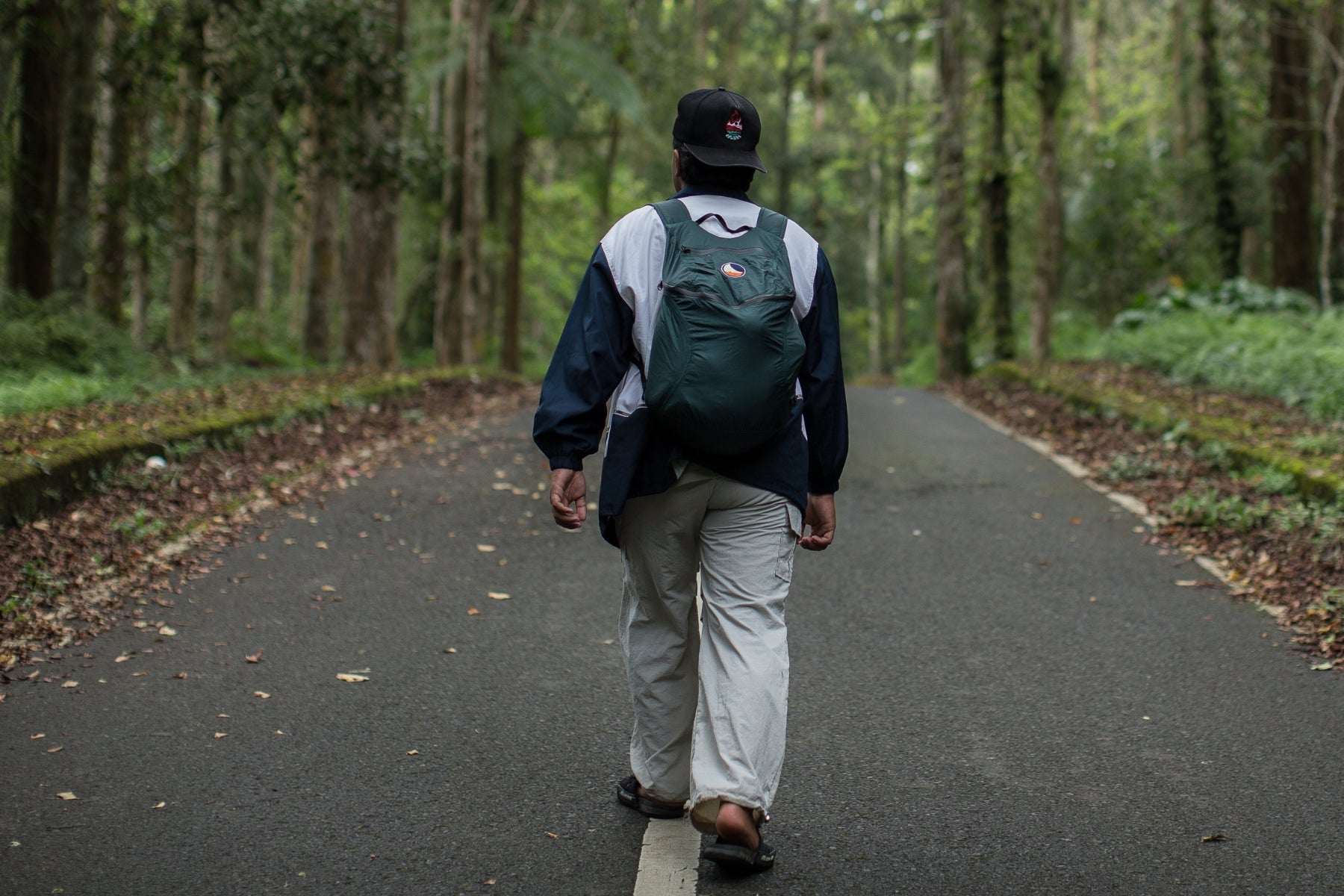 Rückansicht einer Person, die den dunkelgrünen Backpack Plus auf einer Straße durch einen dichten Wald trägt. Das Bild zeigt das Volumen des wasserabweisenden 25L Rucksacks im Einsatz bei einer Wanderung.