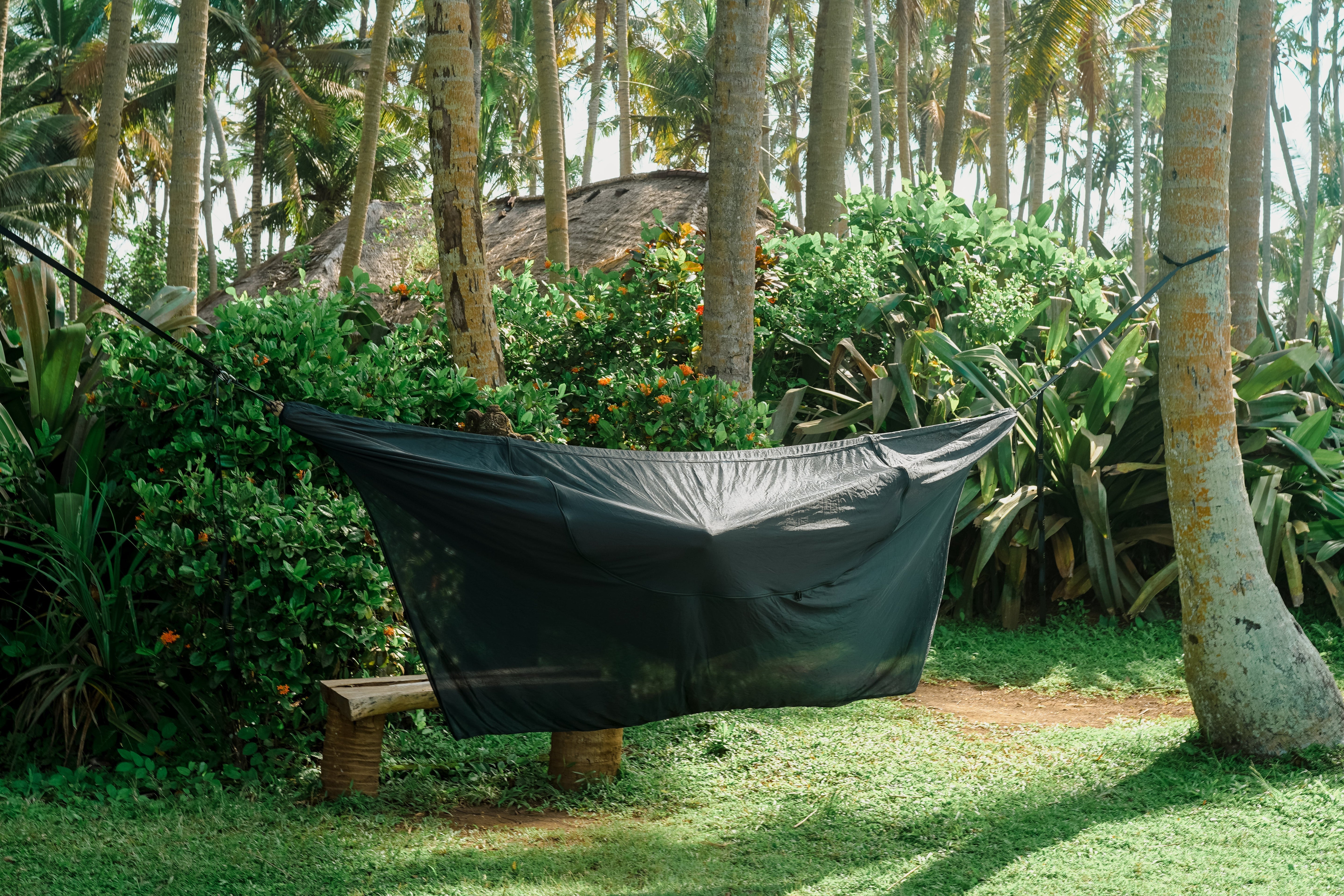 Hängematte mit schwarzem 360° Mückennetz gespannt zwischen Palmen in tropischer Umgebung, Netz vollständig geschlossen für Rundumschutz