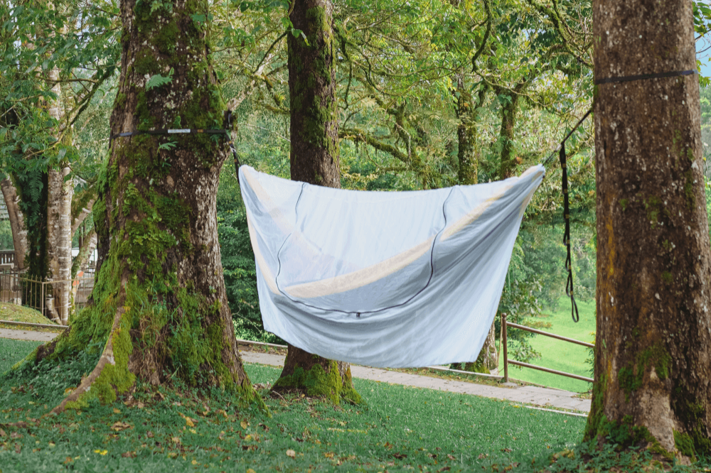 Weiße 360° Mückennetz-Hülle gespannt zwischen zwei moosbewachsenen Bäumen, darunter grüne Wiese und Waldweg in ruhiger, natürlicher Umgebung