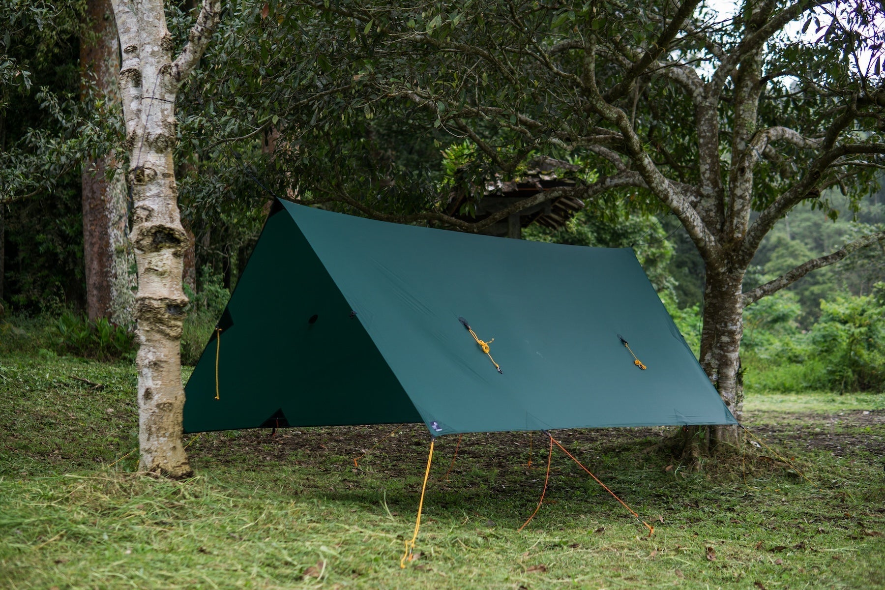 FULLMOON TARP in A-Frame-Zelt-Konfiguration zwischen zwei Bäumen aufgespannt – idealer Schutz bei starkem Wind und Regen.