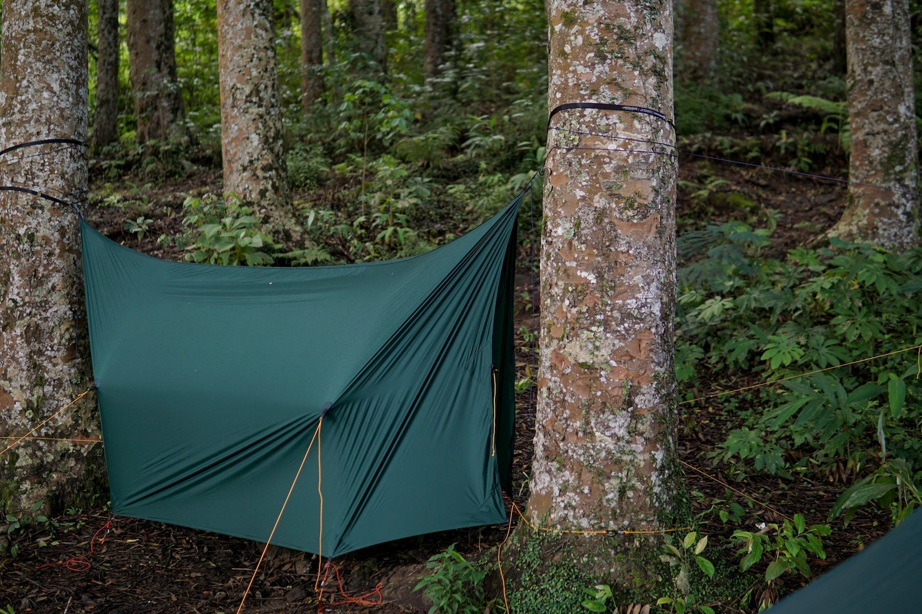FULLMOON TARP in Diamant-Konfiguration gespannt – ideal für schnellen Wetterschutz mit mehr Belüftung im tropischen Wald.