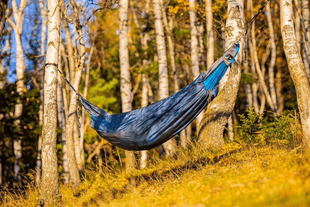 MOONQUILT an einer Hängematte im goldenen Herbstlicht zwischen Birken – idealer Outdoor-Isolationsschutz für kühle Tage.