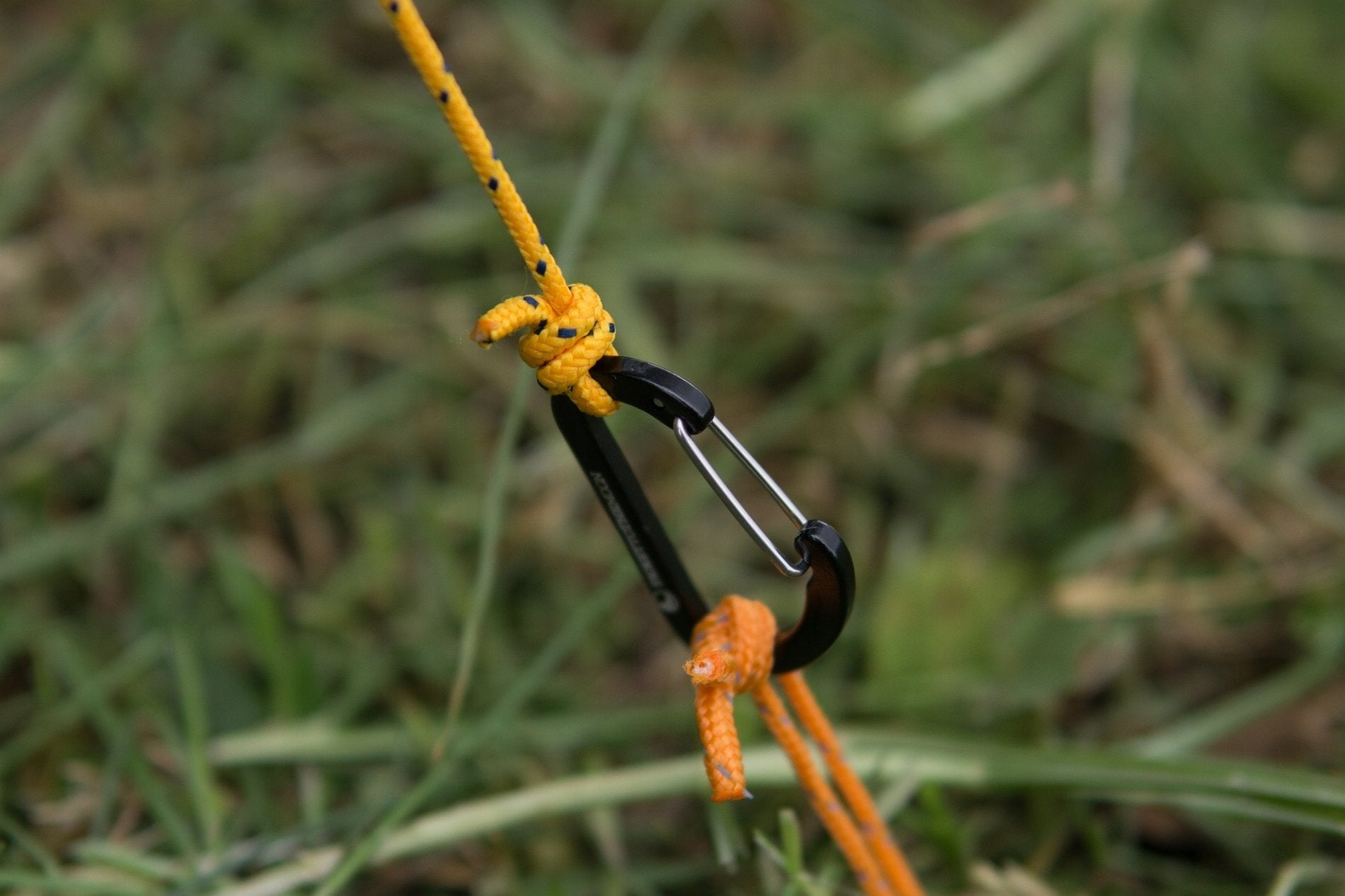 Nahaufnahme einer gelben Abspannleine des MoonTarps mit Karabiner, befestigt am Boden mit orangefarbener Zeltschnur im Gras.