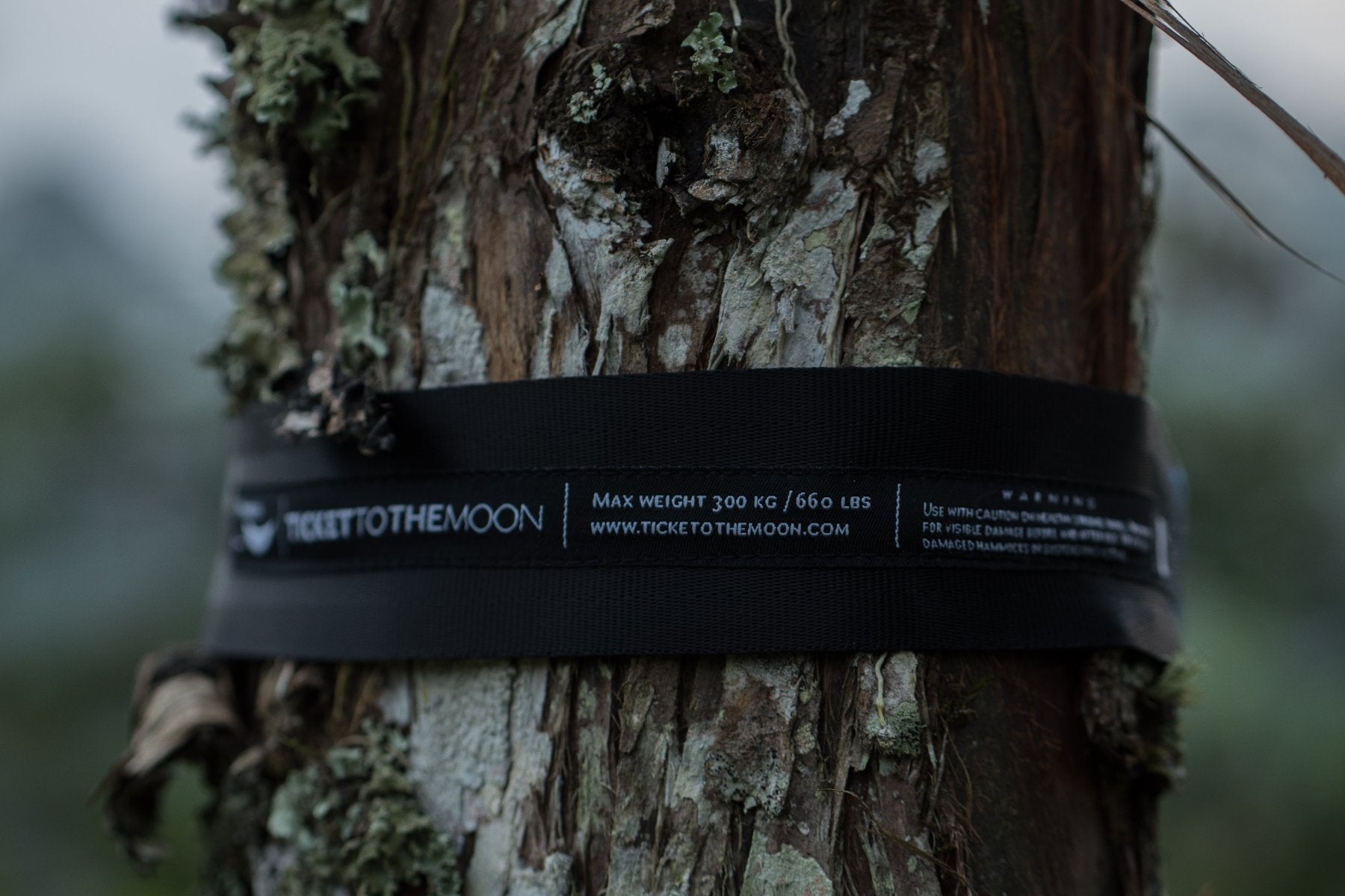 Ticket to the Moon Garden Strap sicher um einen Baumstamm befestigt und als baumschonende Aufhängung für eine Hängematte verwendet.