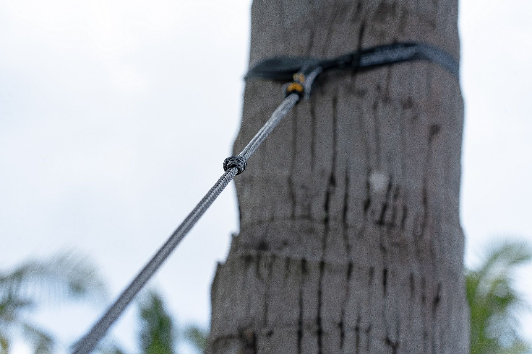 LIGHTEST STRAPS - Ultraleichte Hängematten-Aufhängung