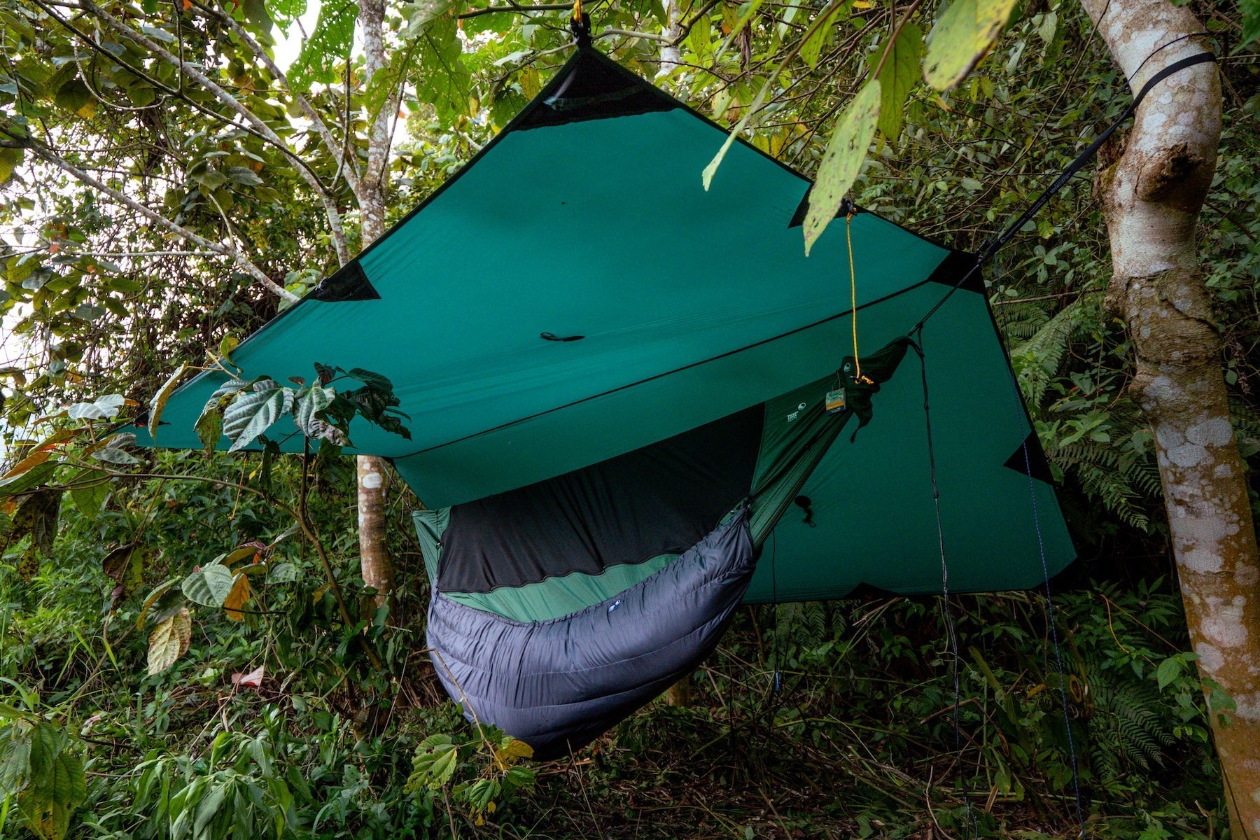 FULLMOON TARP in Diamant-Konfiguration mit Hängematte und isolierendem Moonquilt – perfektes Outdoor-Setup im tropischen Regenwald.