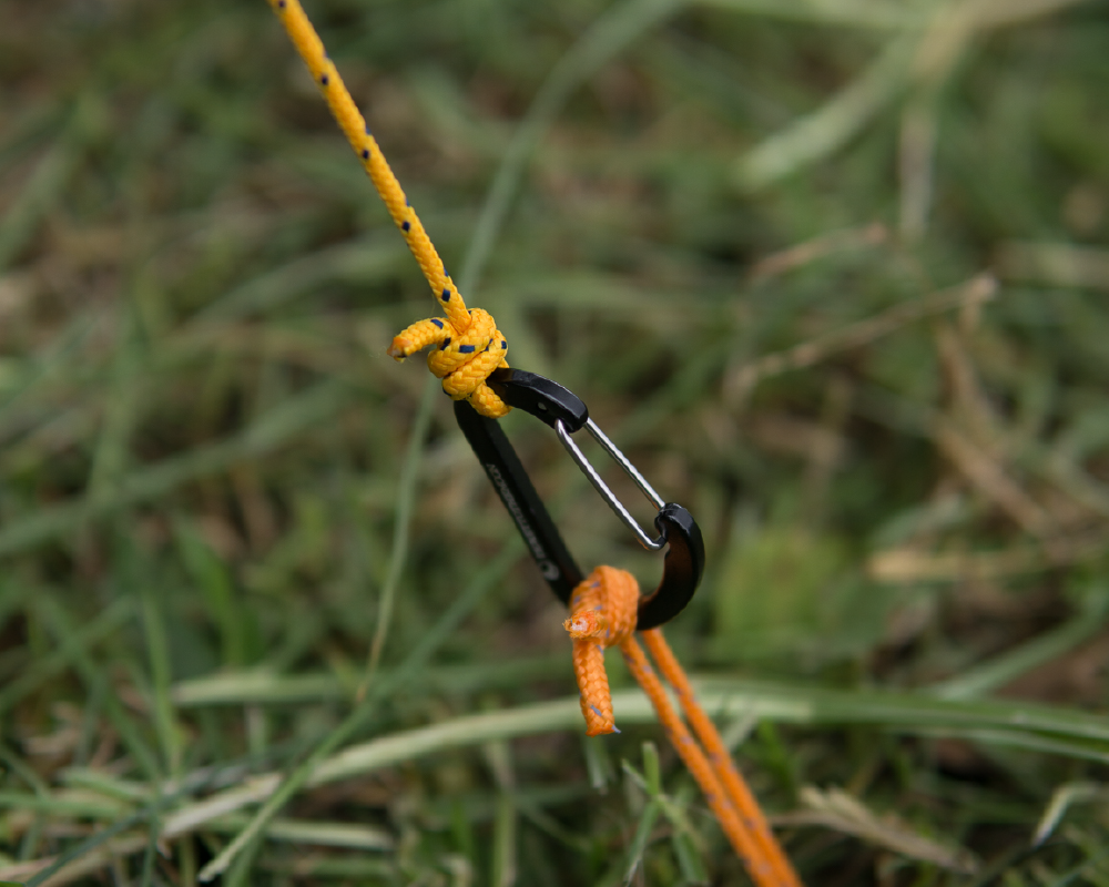 TTTM Karabiner bei der Abspannung eines Zelts oder Tarps auf Grasboden mit gelber und oranger Schnur