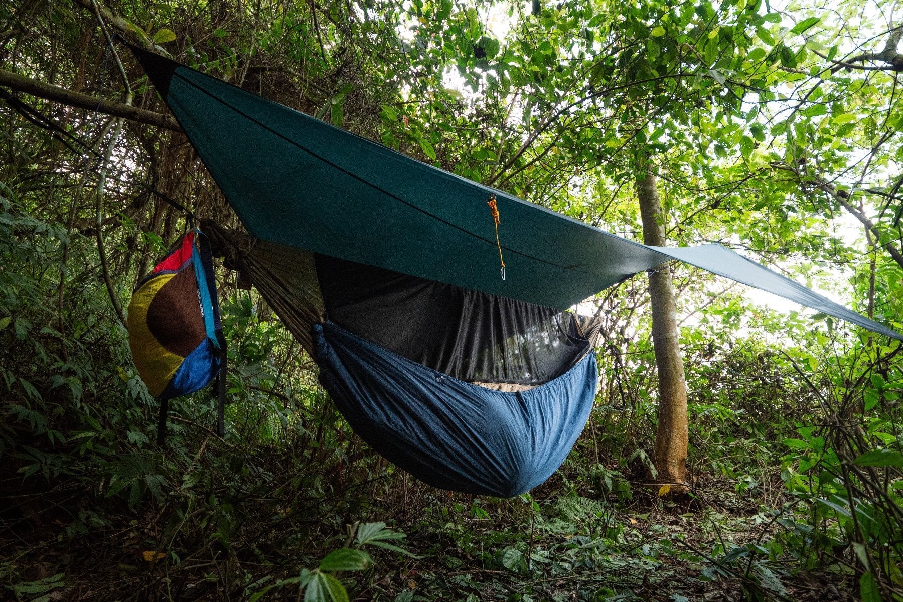 Dunkelgrünes MoonTarp über einer aufgehängten Hängematte mit Moskitonetz, gespannt zwischen Bäumen im tropischen Regenwald.