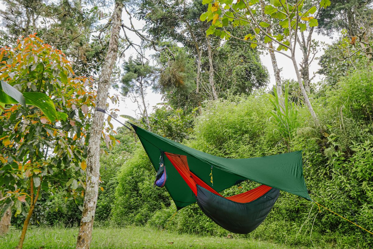 Moontarp als Regenschutz über einer Hängematte im tropischen Wald gespannt.
