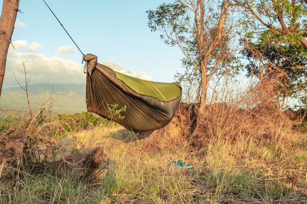 Geschlossene PRO HAMMOCK in Olivgrün-Schwarz, aufgehängt zwischen Bäumen in einer trockenen Wiesenlandschaft mit Blick auf einen Berg im Hintergrund.
