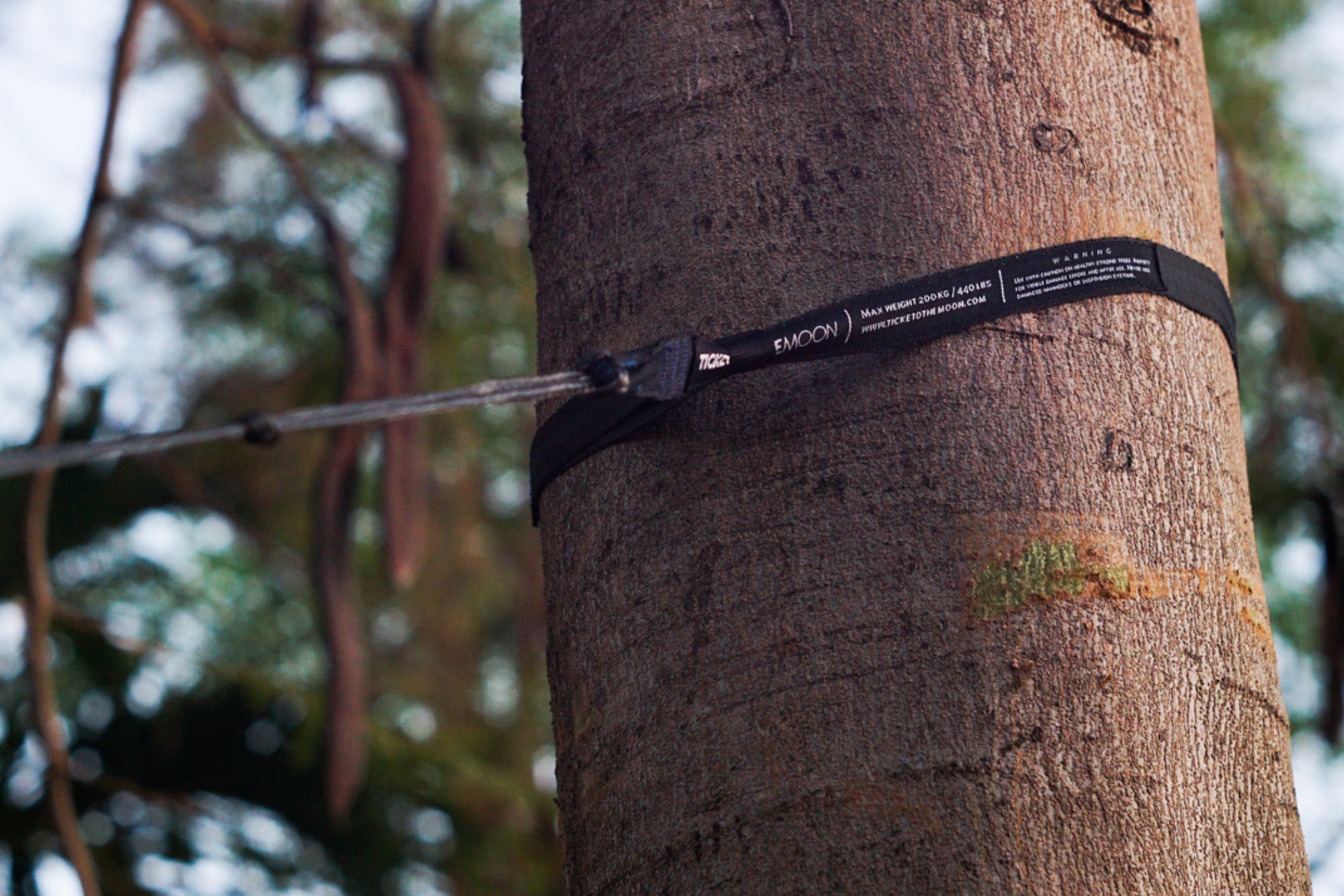 hängematten-knoten baum LIGHTEST STRAPS – Ultraleichte Hängematten-Aufhängung