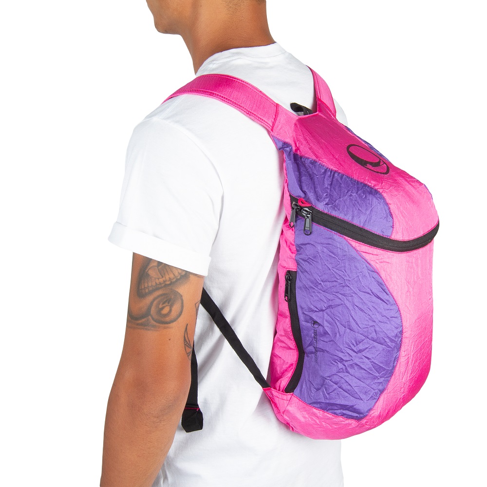 Mini Backpack (2019)